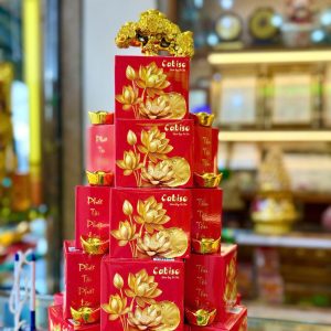 Bánh Quy Lễ Cabiso 40g  #8935046505146